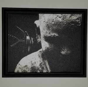 Fish Whispers - Framed Print